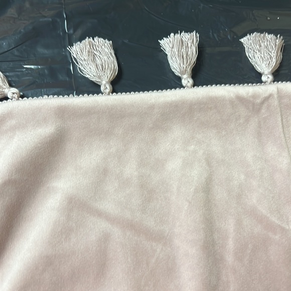 Light pink decorative pillow cover. Very soft with tassels.19x19 - Picture 2 of 3